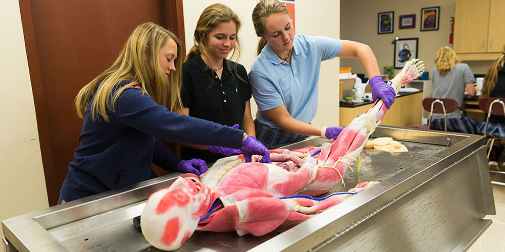 Brentwood Academy becomes first high school in Nashville area to use SynDaver’s life-like human anatomy technology